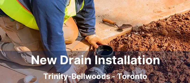 New Drain Installation Trinity-Bellwoods - Toronto